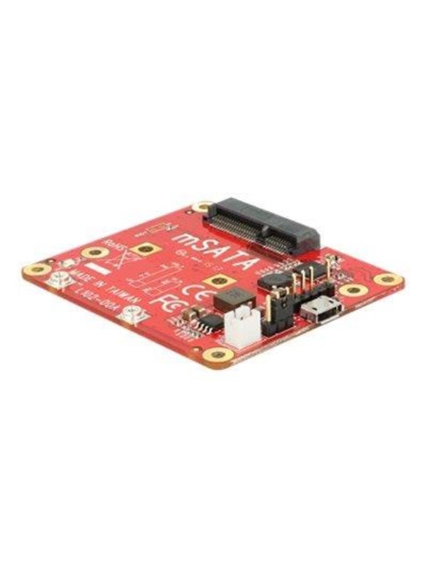 DeLOCK Raspberry mSATA-moduuli, tyyppi Micro-B, sis. asennussarjan
