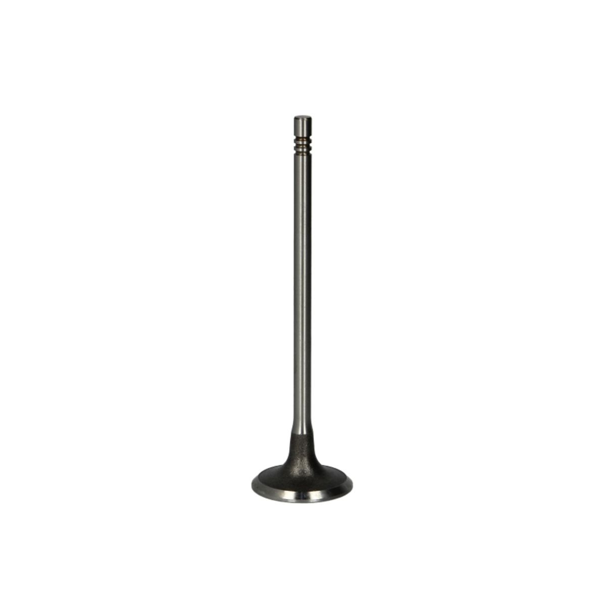 Imuventtiili FRECCIA R6663/S