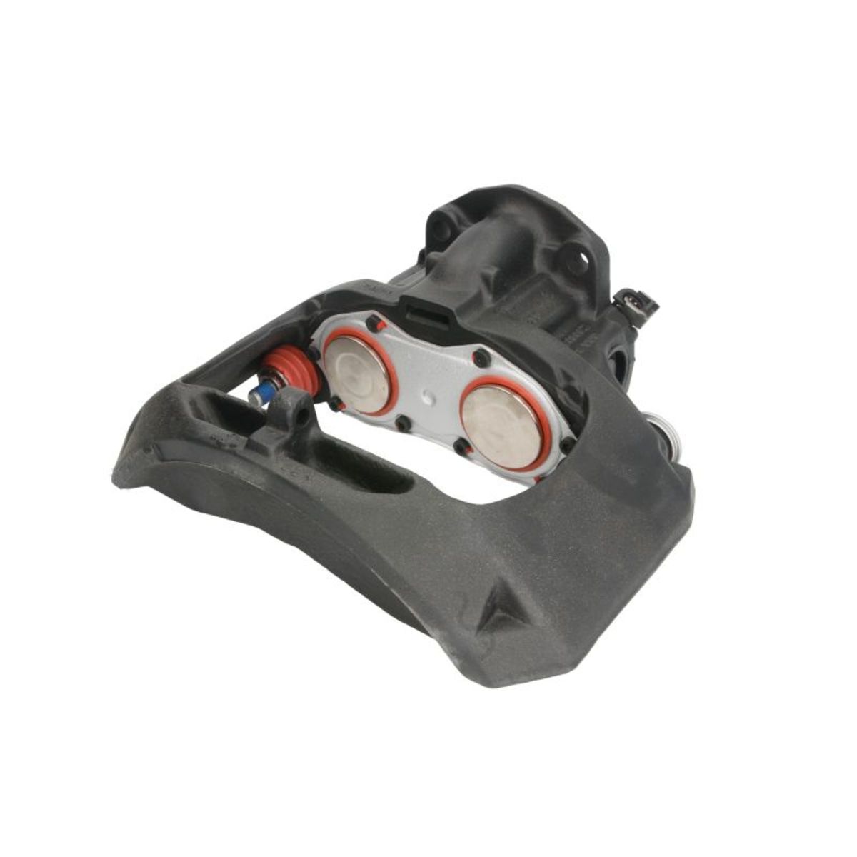 Jarrusatula SBP TEQ-DF.001