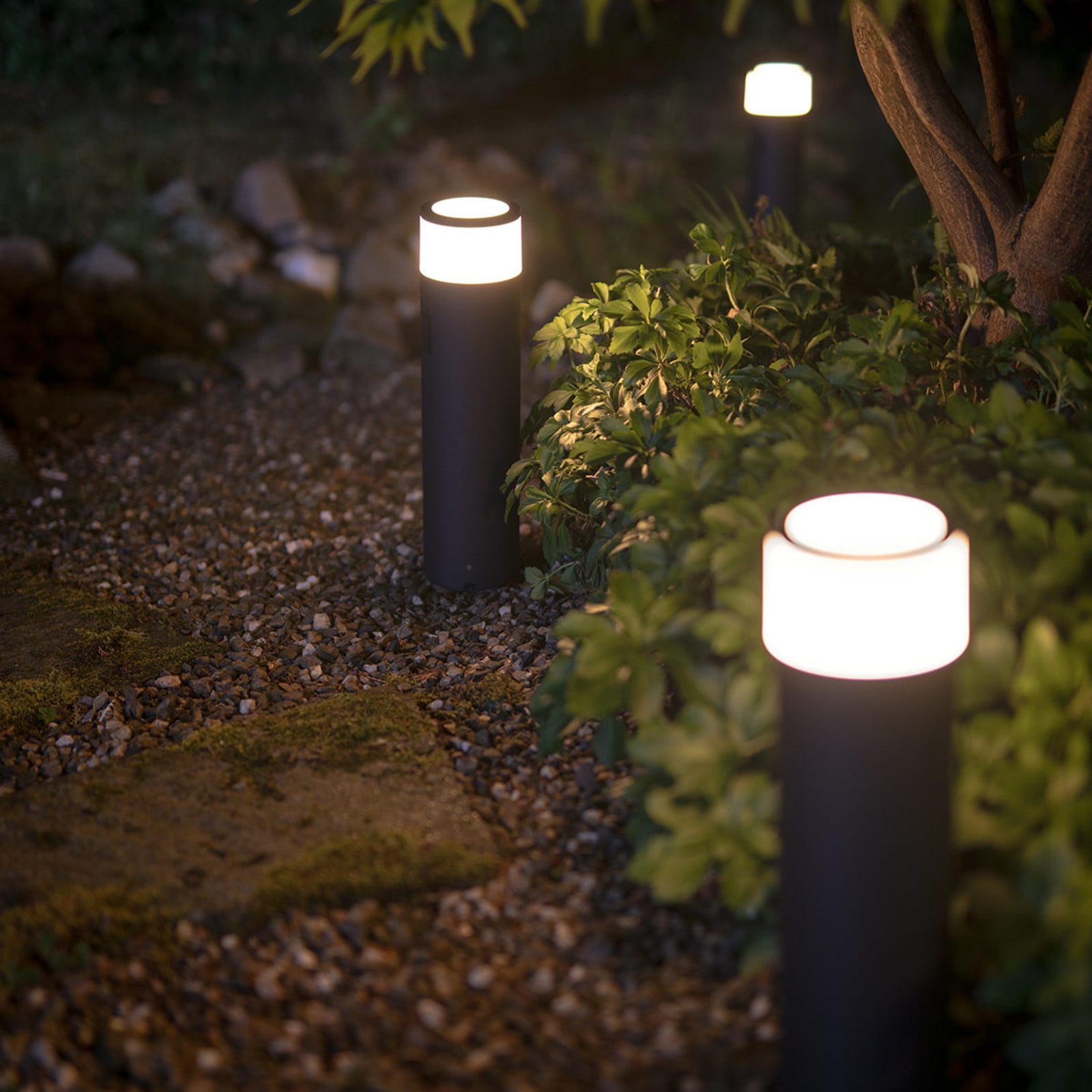Philips Hue White and Color Ambiance Calla extension - Pedestal light - LED-lamppu - 8 W (samanlainen 49 W) - luokka A - 2000-6500 K - musta