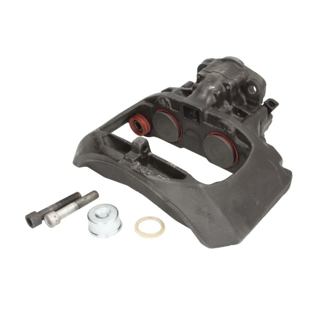 Jarrusatula SBP TEQ-BC.015