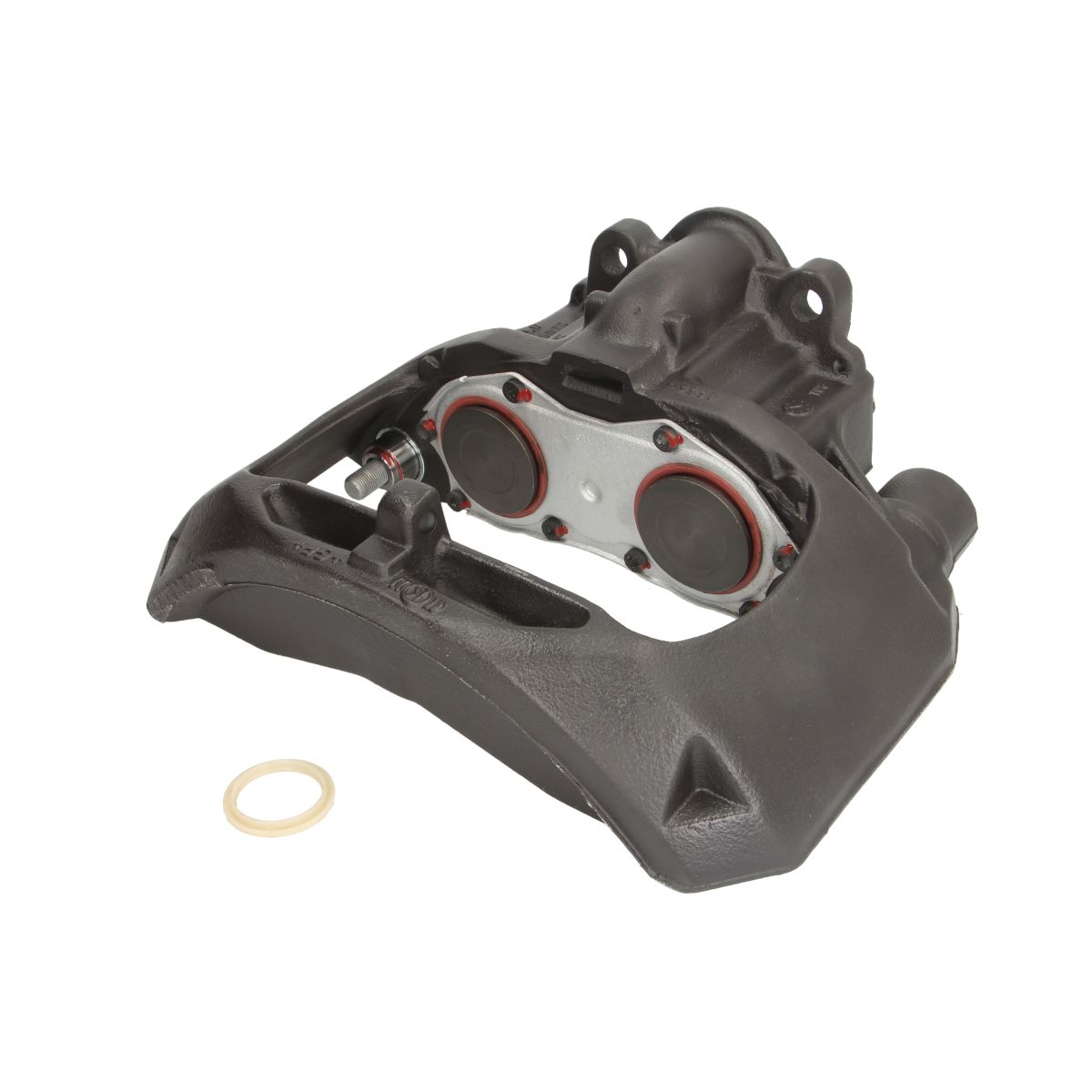 Jarrusatula SBP TEQ-BC.005