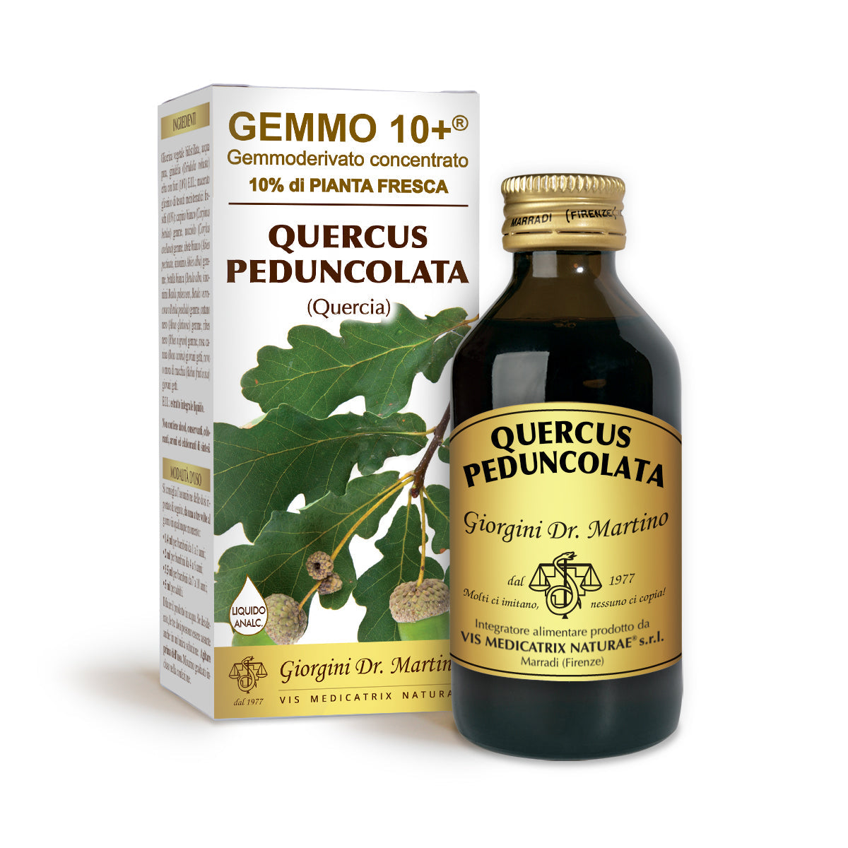 Dr Giorgini gemmo 10+ tammi 100 ml alkoholiton neste