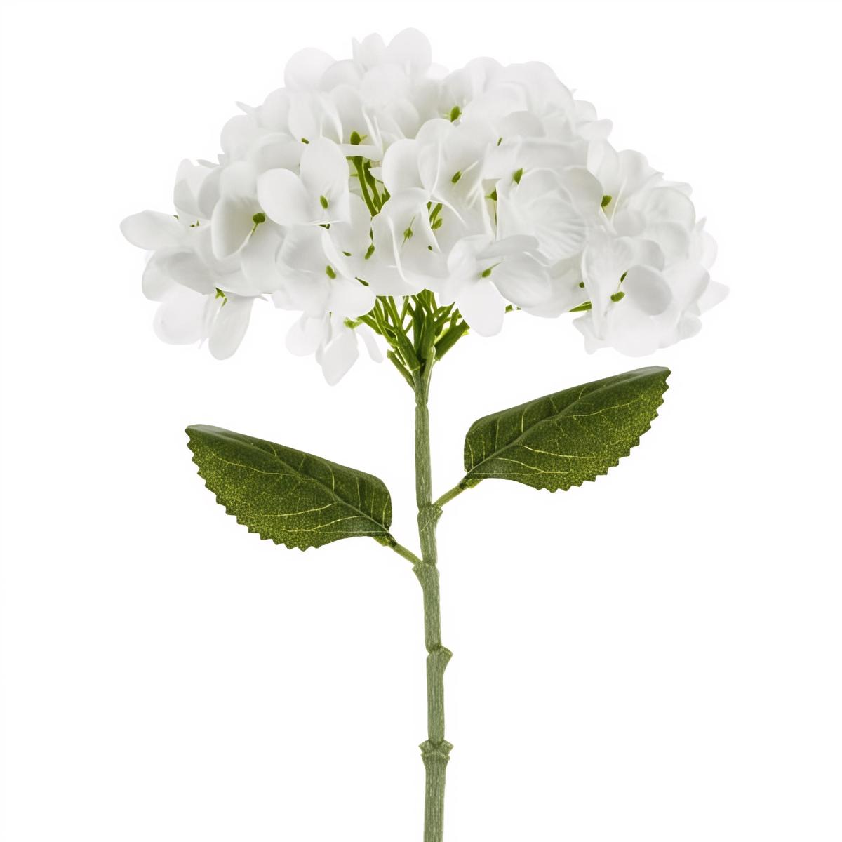 Tekokukka - Hortensia, valkoinen, 35 cm
