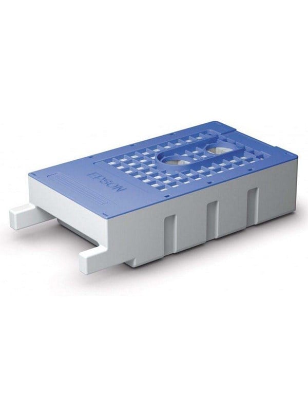 Epson T619300
