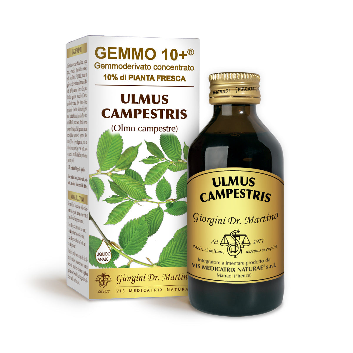 Dr Giorgini gemmo 10+ jalavapelto 100 ml alkoholiton neste