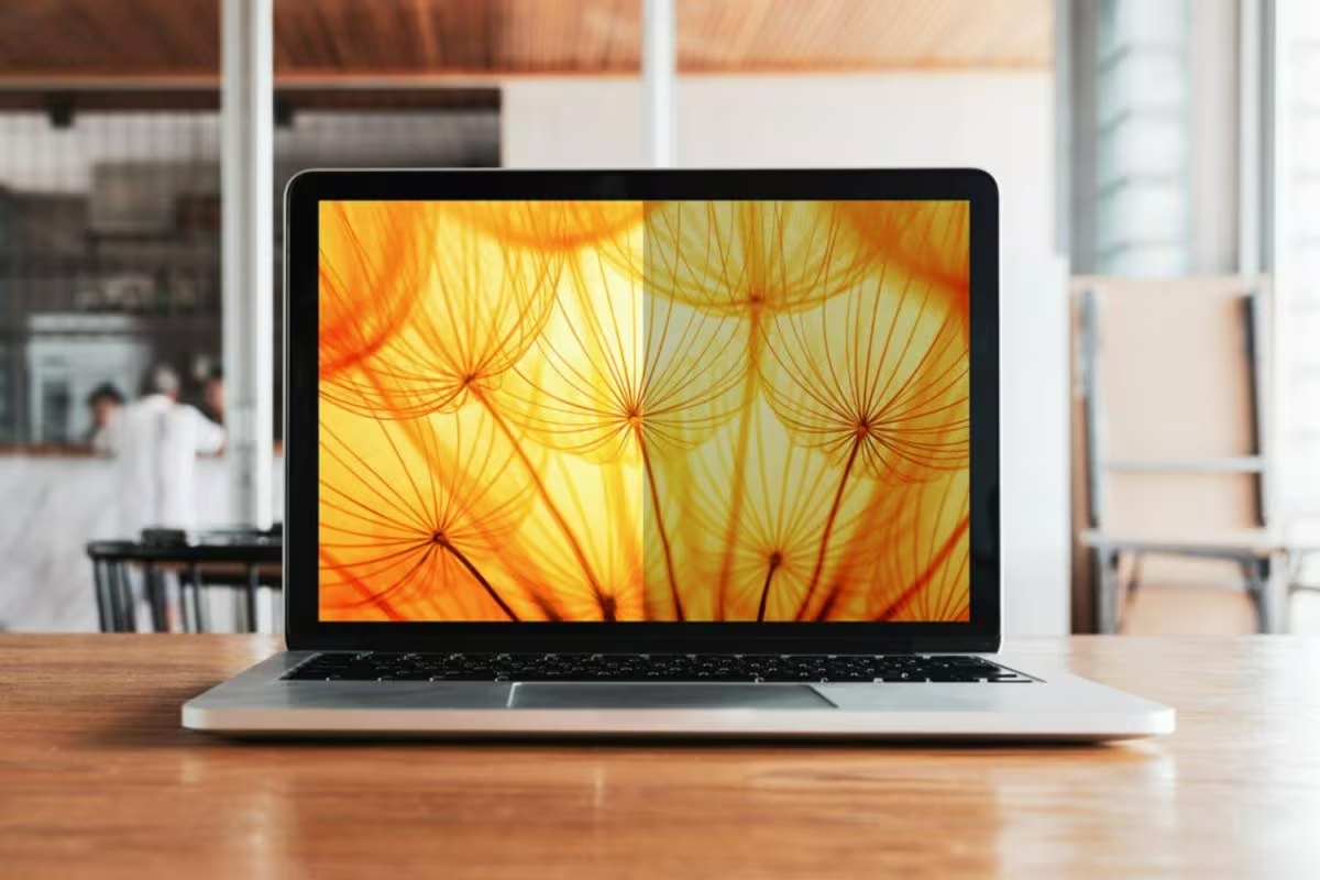 3M Bright Screen Privacy Filter for Dell -yksityisyyssuodatin