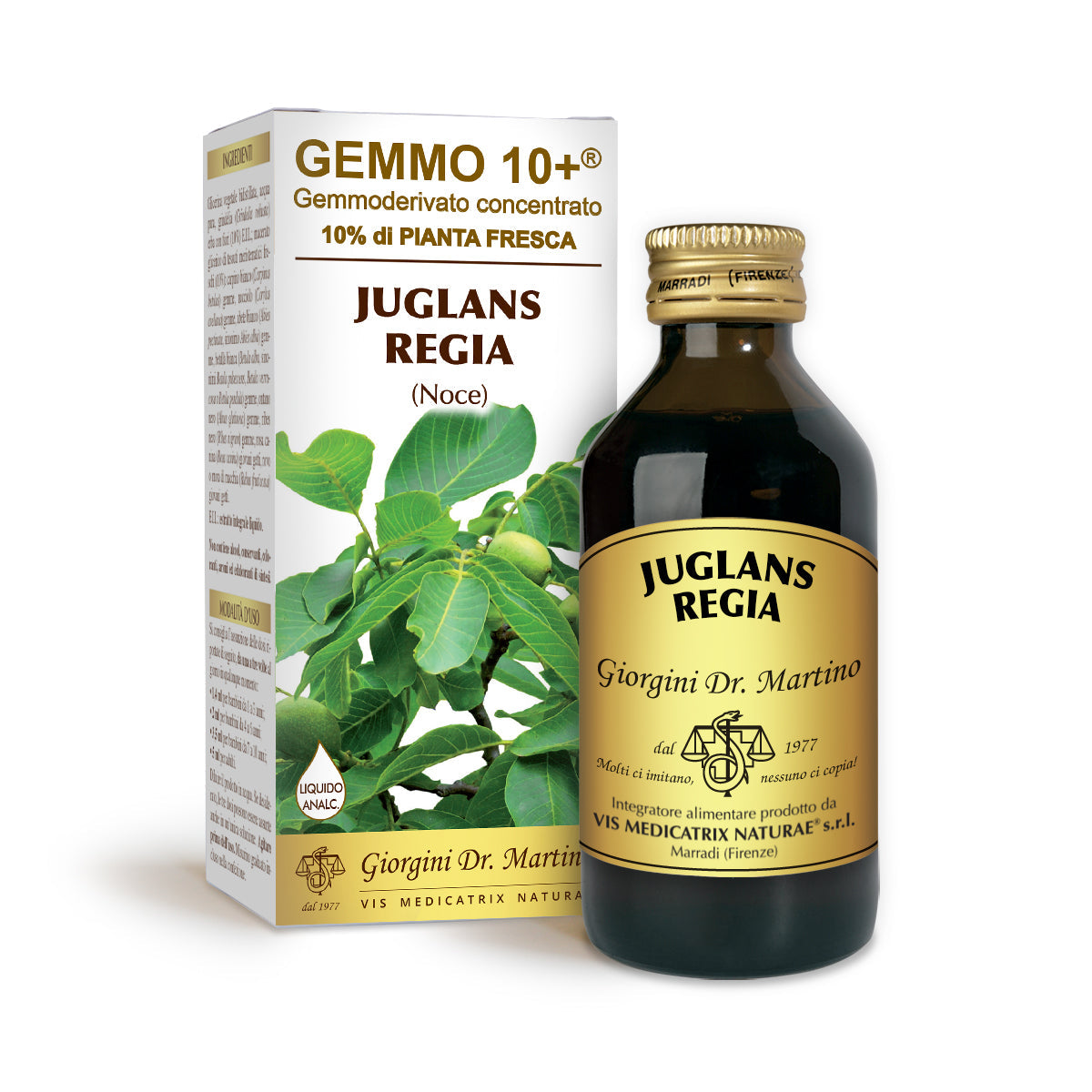 Dr Giorgini gemmo 10+ saksanpähkinä 100 ml alkoholiton neste