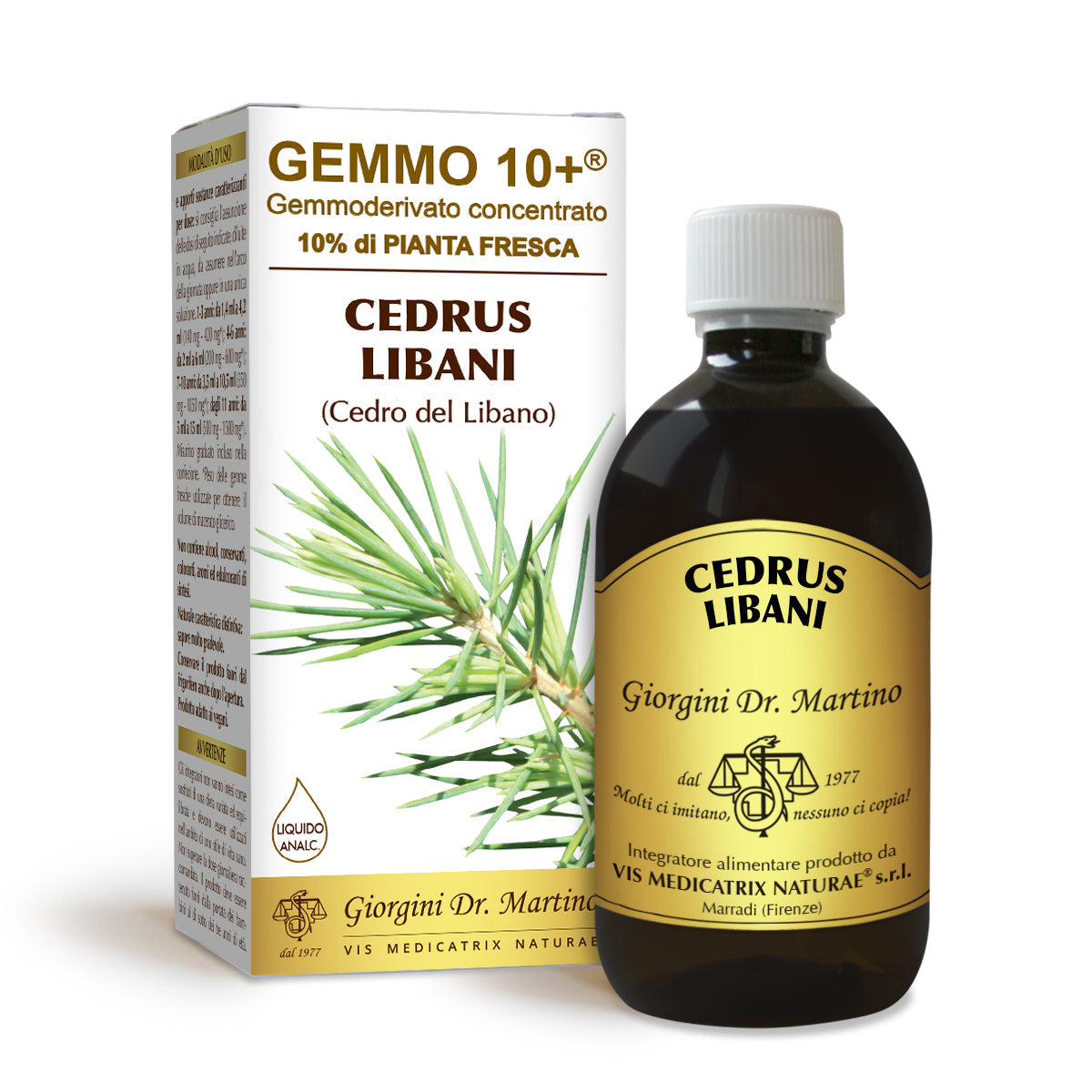 Dr Giorgini gemmo 10+ Libanonin setri 500 ml alkoholiton neste