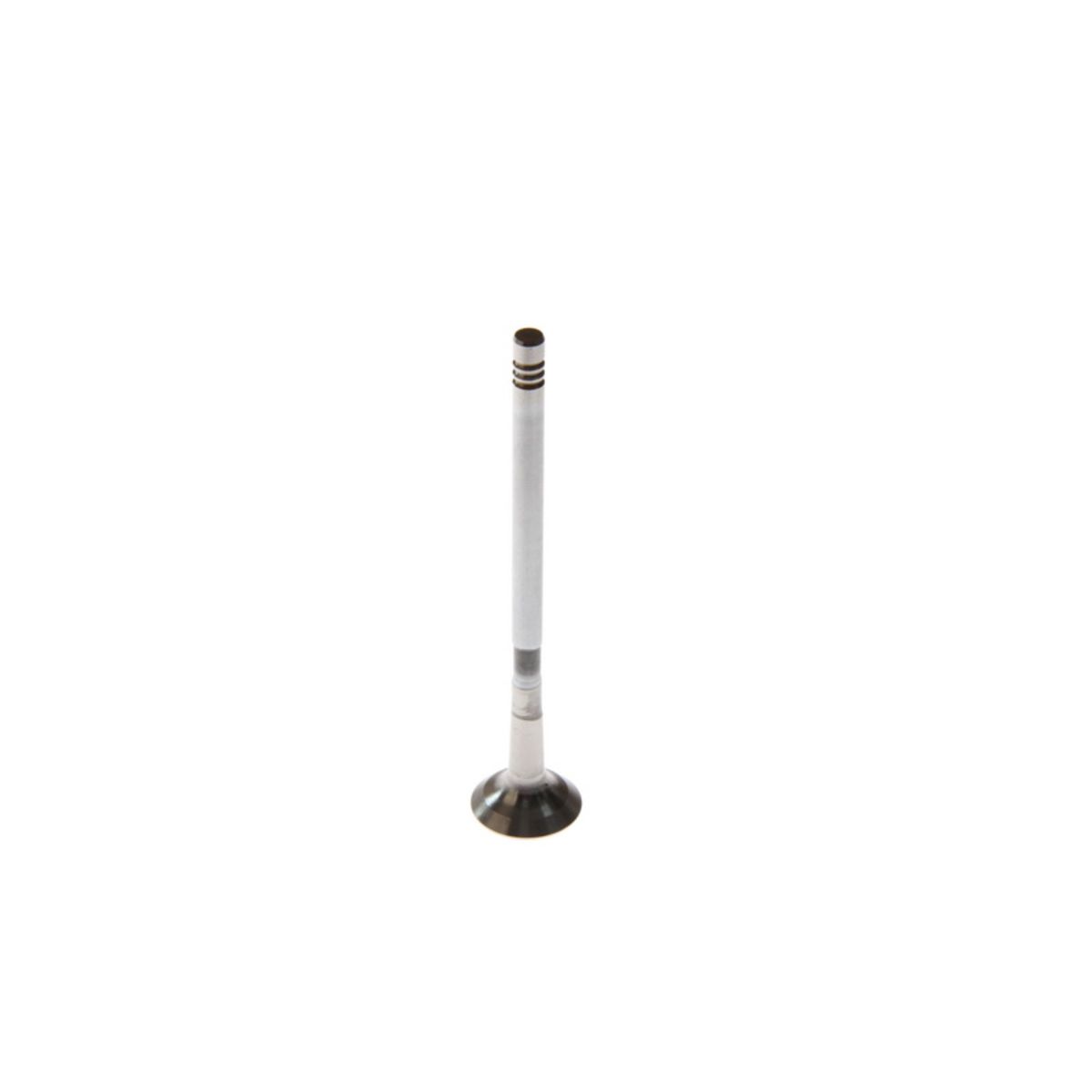 Pakoventtiili FRECCIA R6640/BMCR