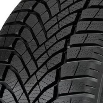 Falken EUROWINTER HS02 ( 195/65 R15 95T XL, VCe BLK )