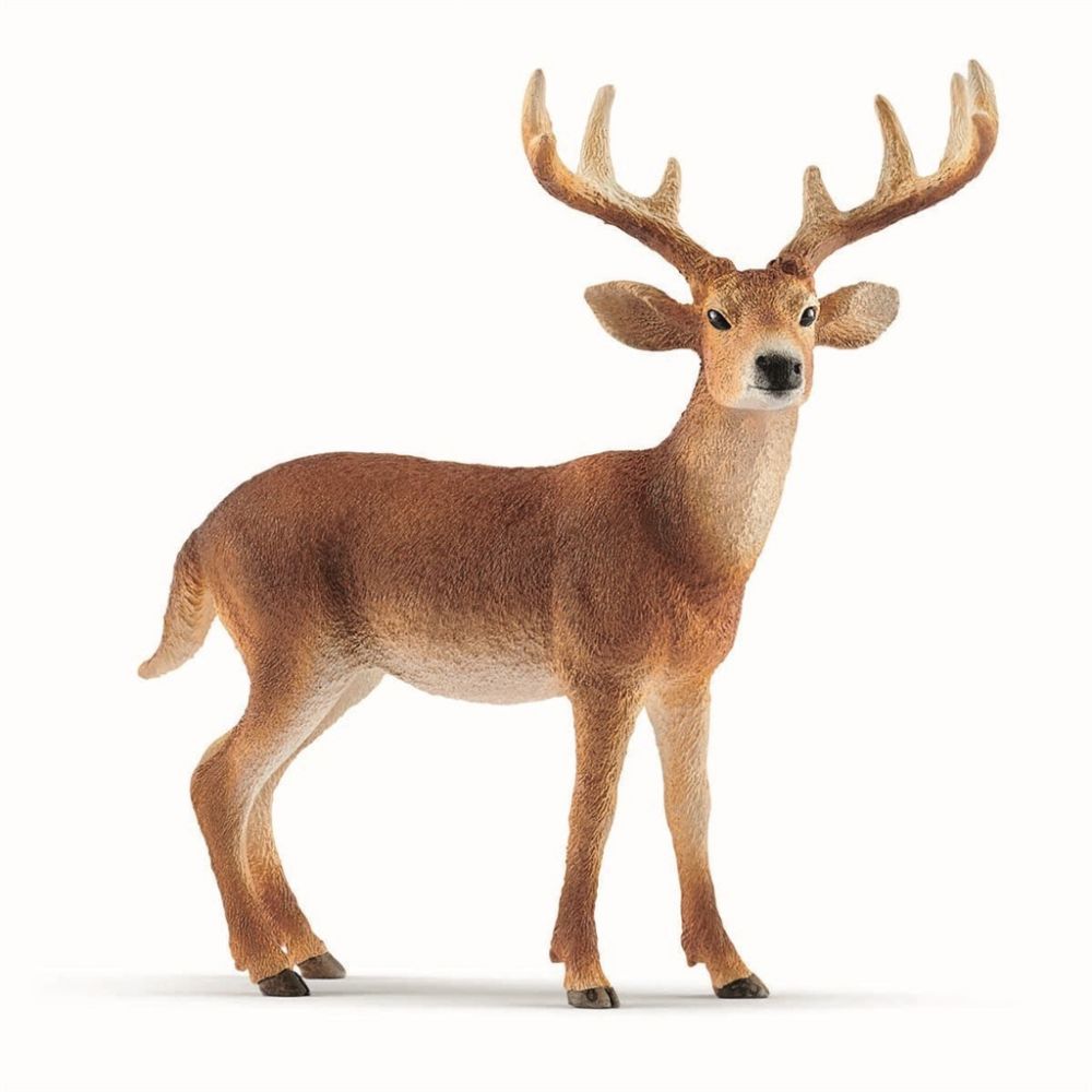 Schleich Valkohäntäpeura Uros, 10cm