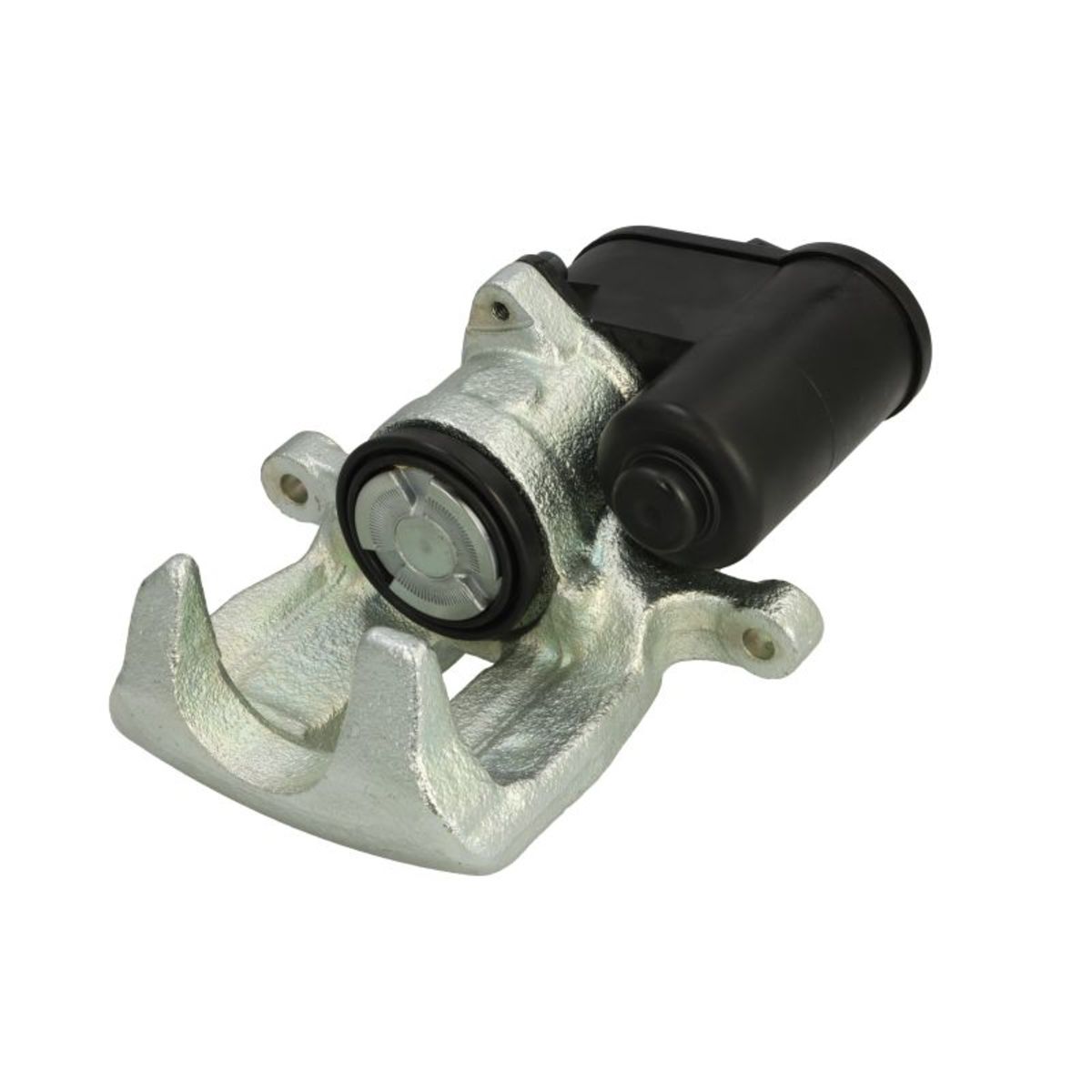 Jarrusatula BUDWEG CALIPER 344271