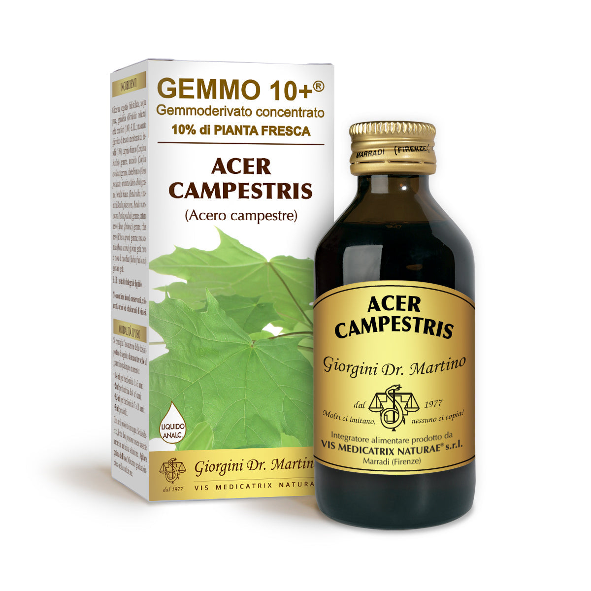 Dr Giorgini gemmo 10+ vaahteraöljy 100 ml alkoholiton neste
