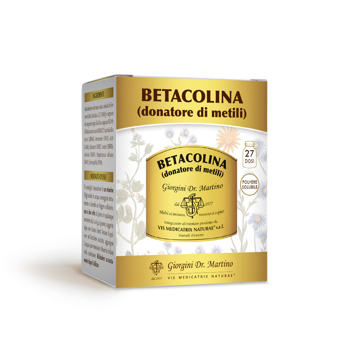 Dr Giorgini Betakoliinijauhe 100 g