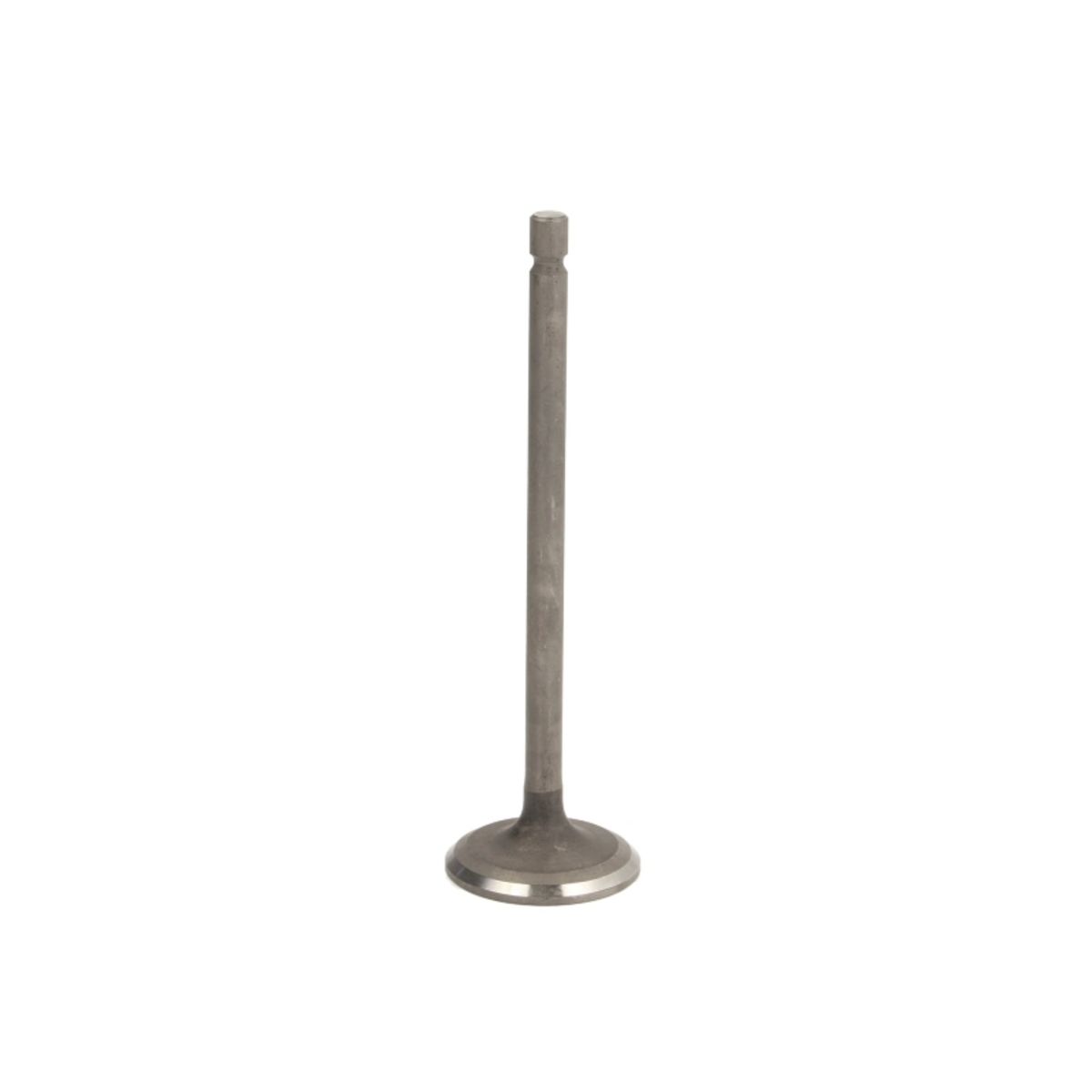 Imuventtiili FRECCIA R6700/RNT