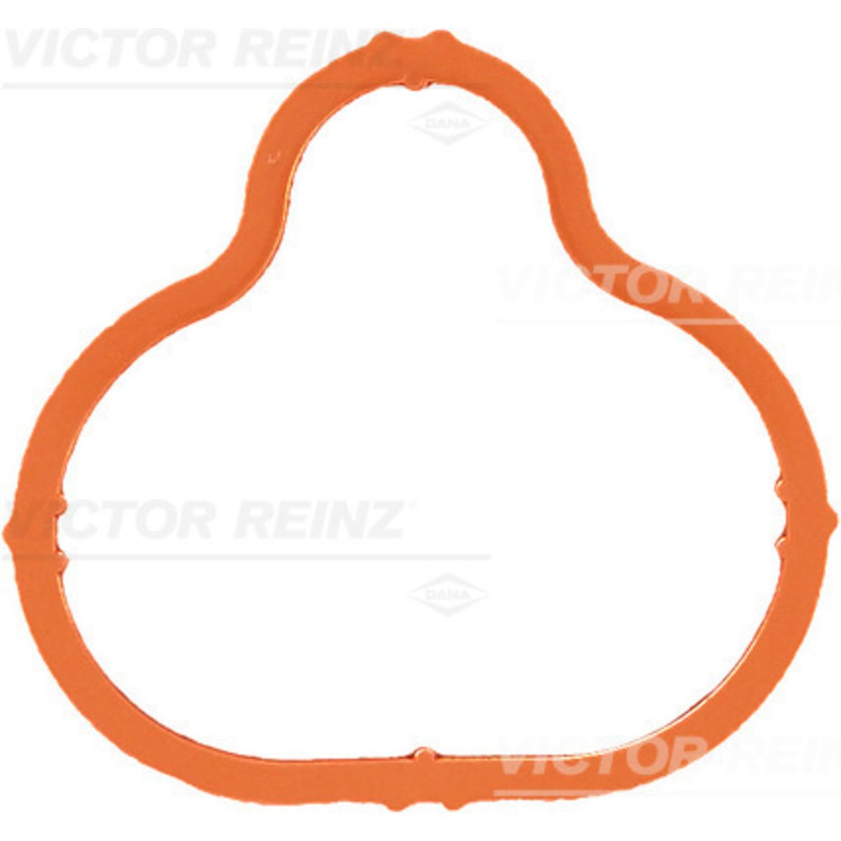 Tiiviste, imusarja REINZ 71-34266-00