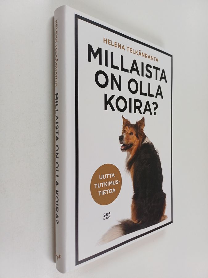 Millaista on olla koira?