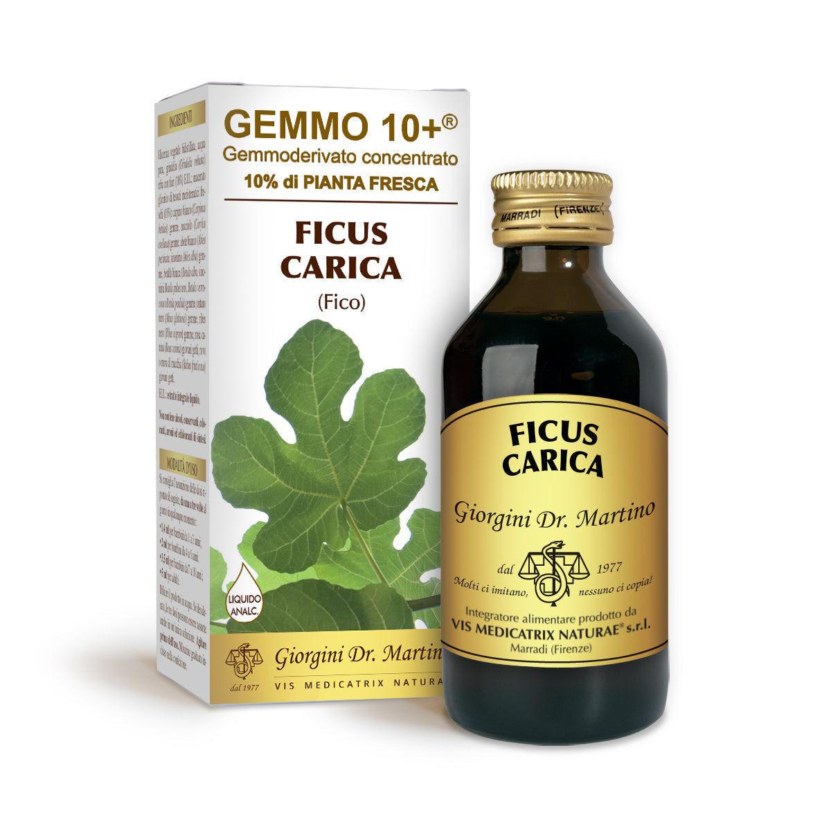 Dr Giorgini gemmo 10+ fig 100 ml alkoholiton neste