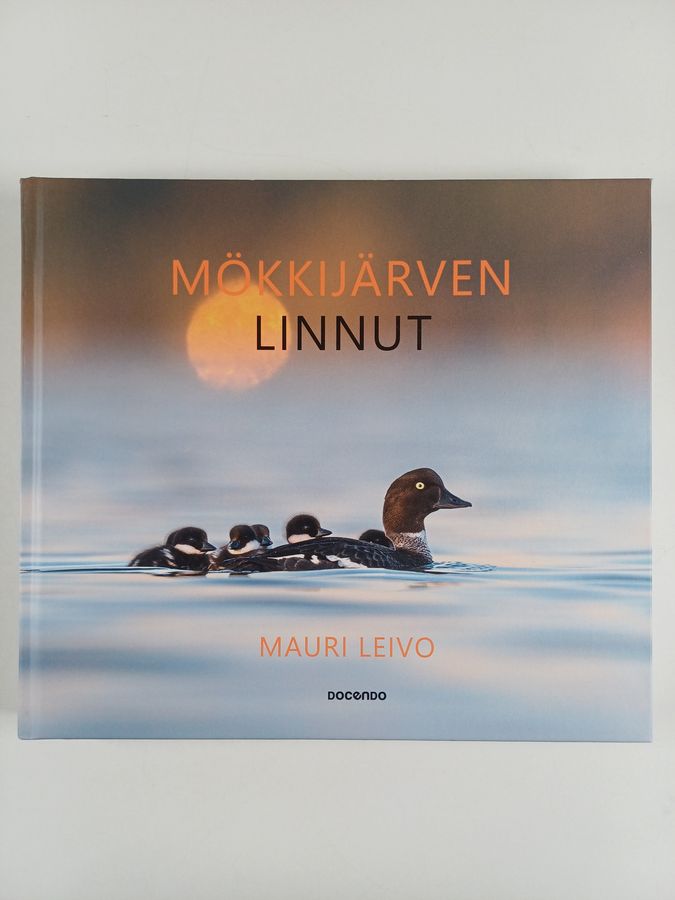 Mökkijärven linnut
