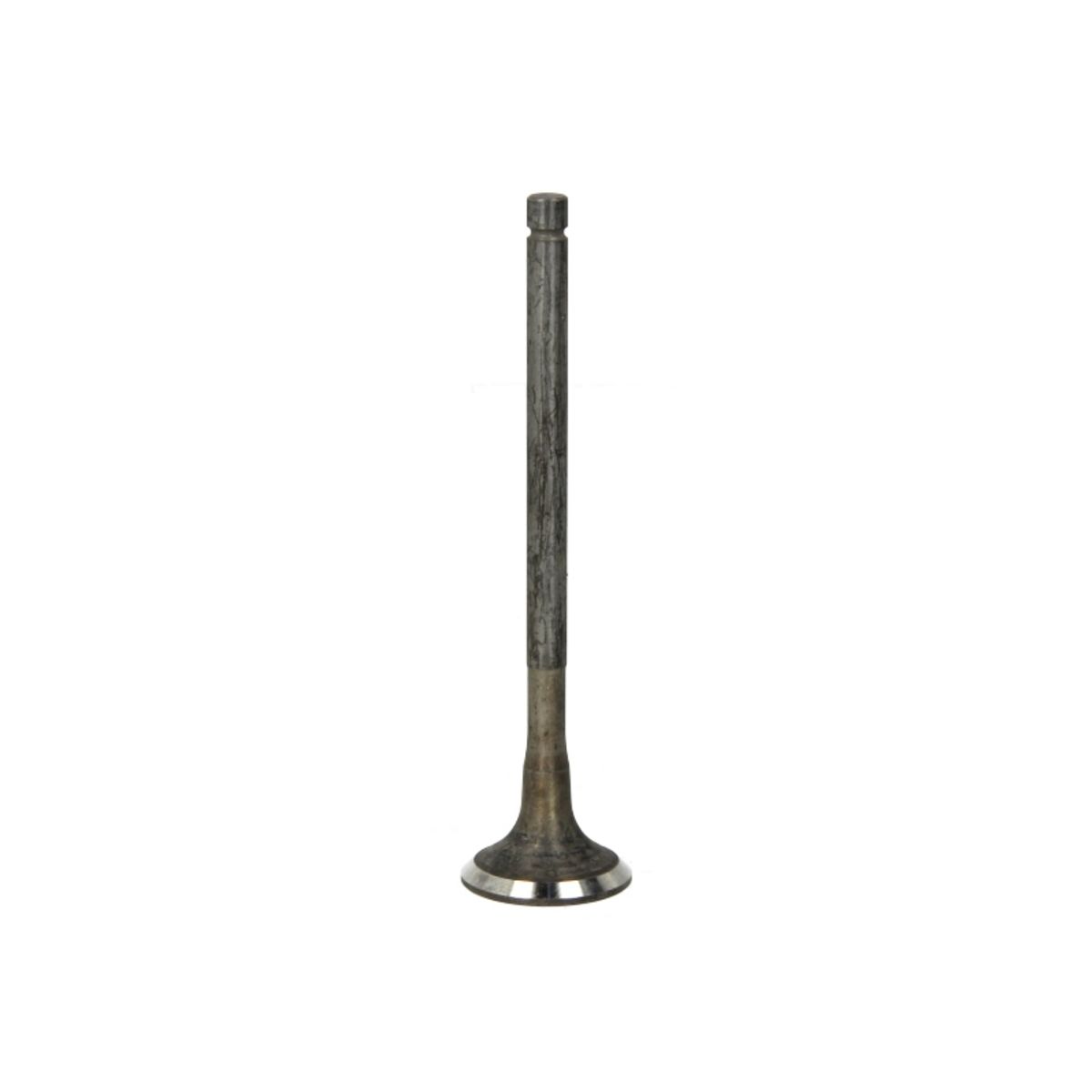 Pakoventtiili FRECCIA R6646/RNT