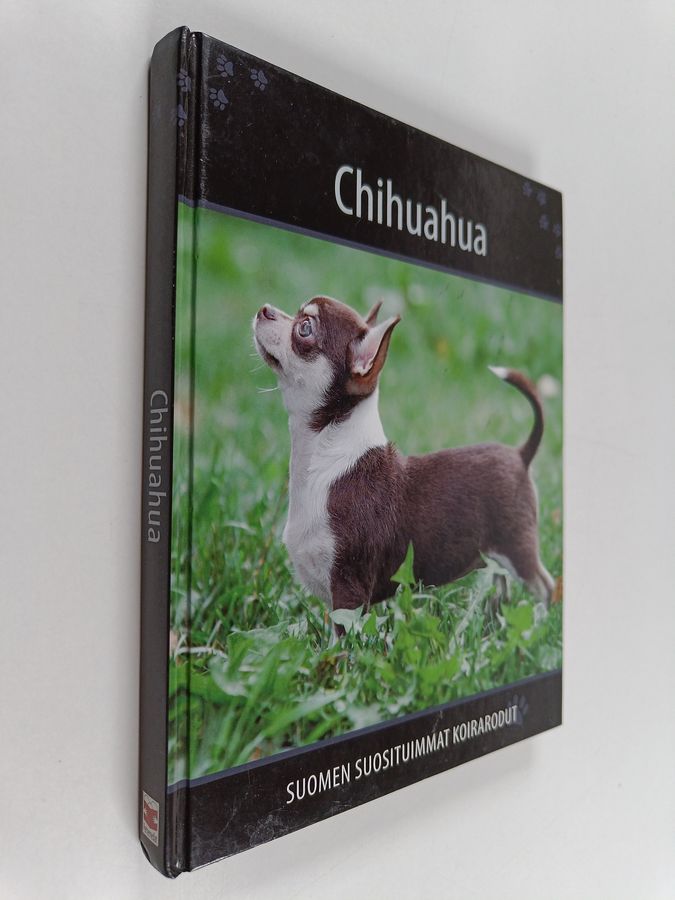 Chihuahua
