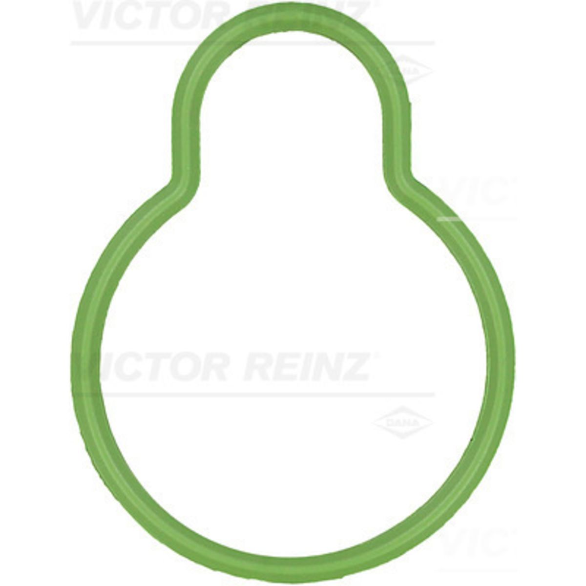 Tiiviste, imusarja REINZ 71-29486-00