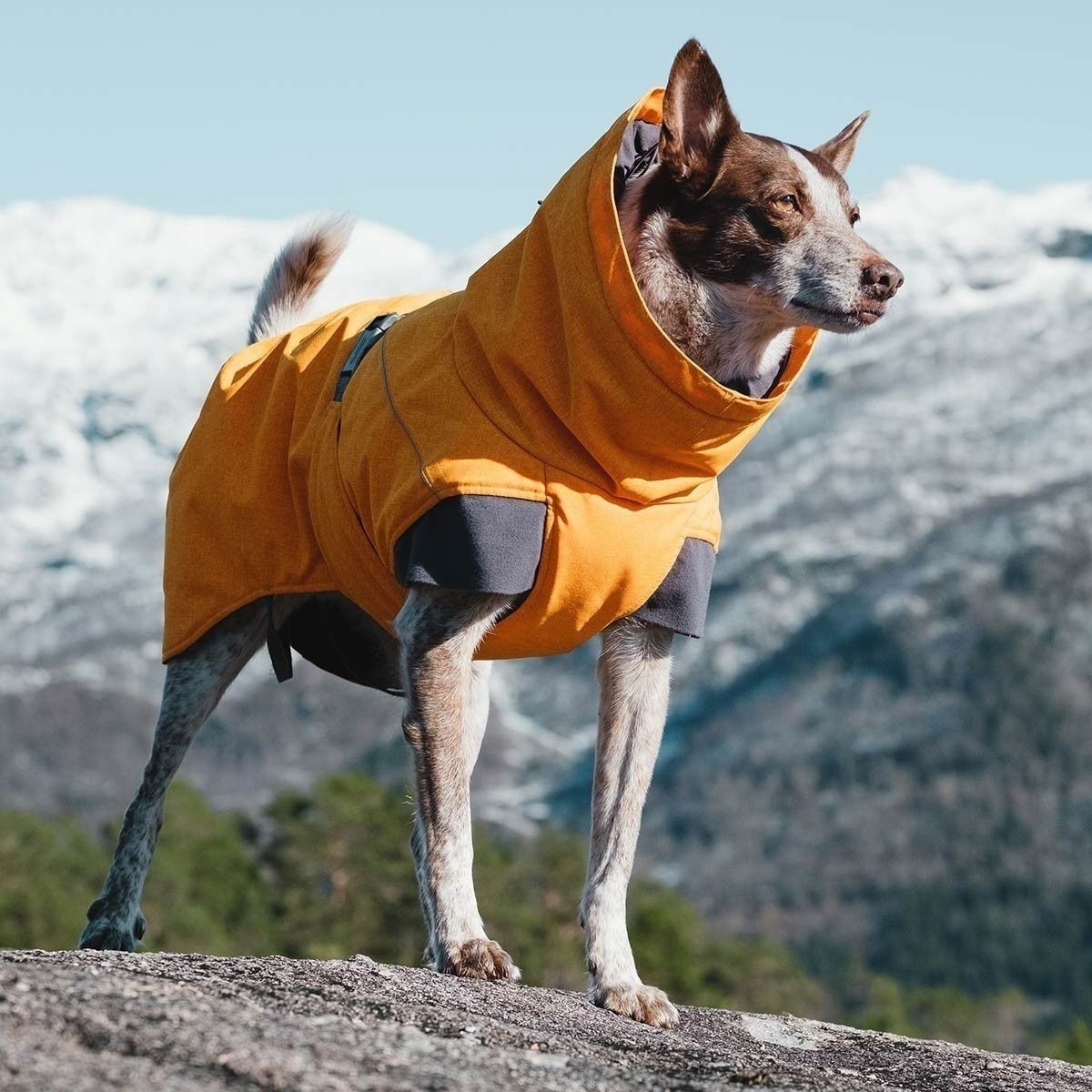 Hurtta Expedition parka tyrni