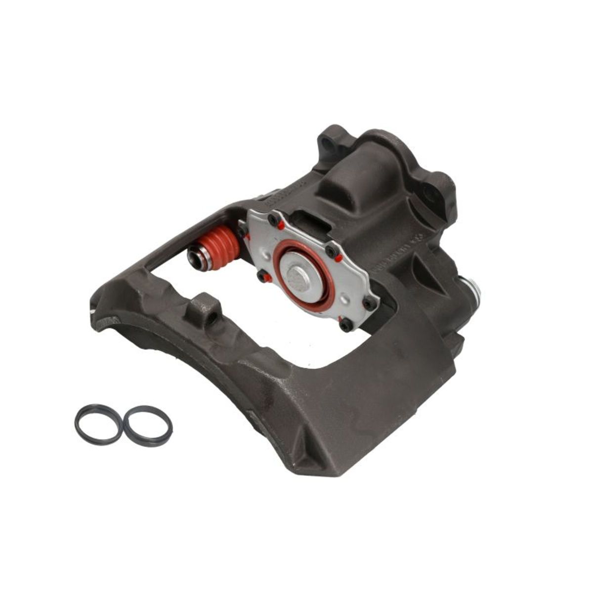 Jarrusatula SBP TEQ-MA.008