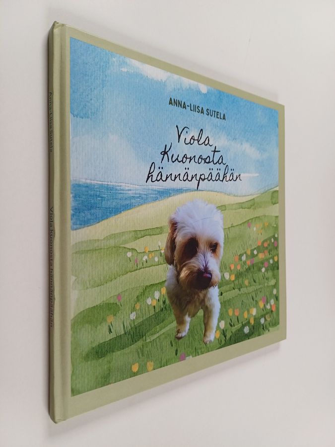 Viola kuonosta hännänpäähän