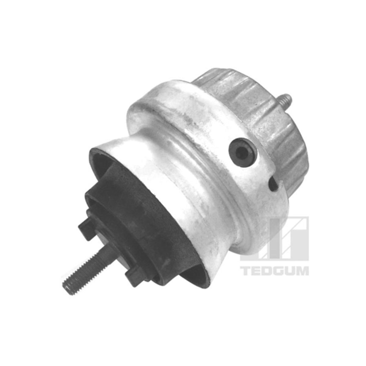 Moottorin tuki TEDGUM 00056444