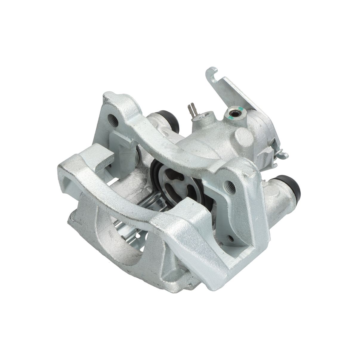 Jarrusatula SBP TEQ-BC.235