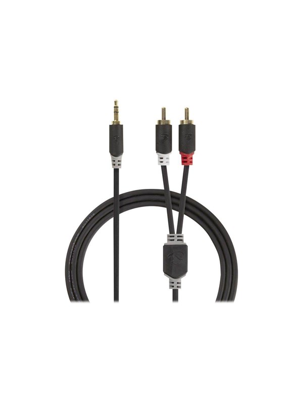 Nedis Stereoäänikaapeli | 3.5 mm uros | 2x RCA uros | Kullattu | 2.00 m | Pyöreä | Antrasiitti | Laatikko