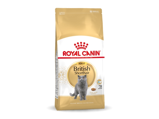 Royal Canin British Shorthair Adult, Aikuinen, 4 kg, Antioksidantit sisältyvät