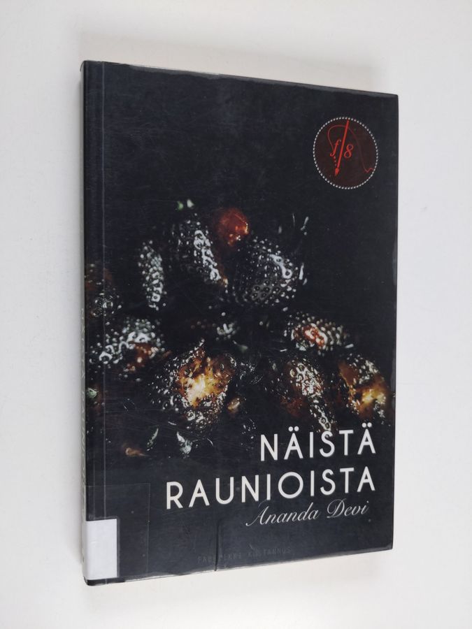 Näistä raunioista