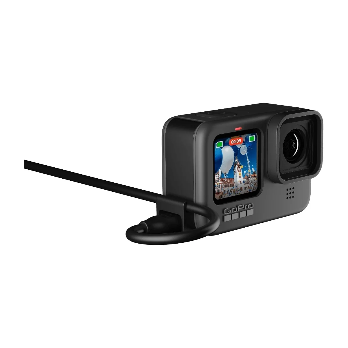 GoPro USB Pass-Through door