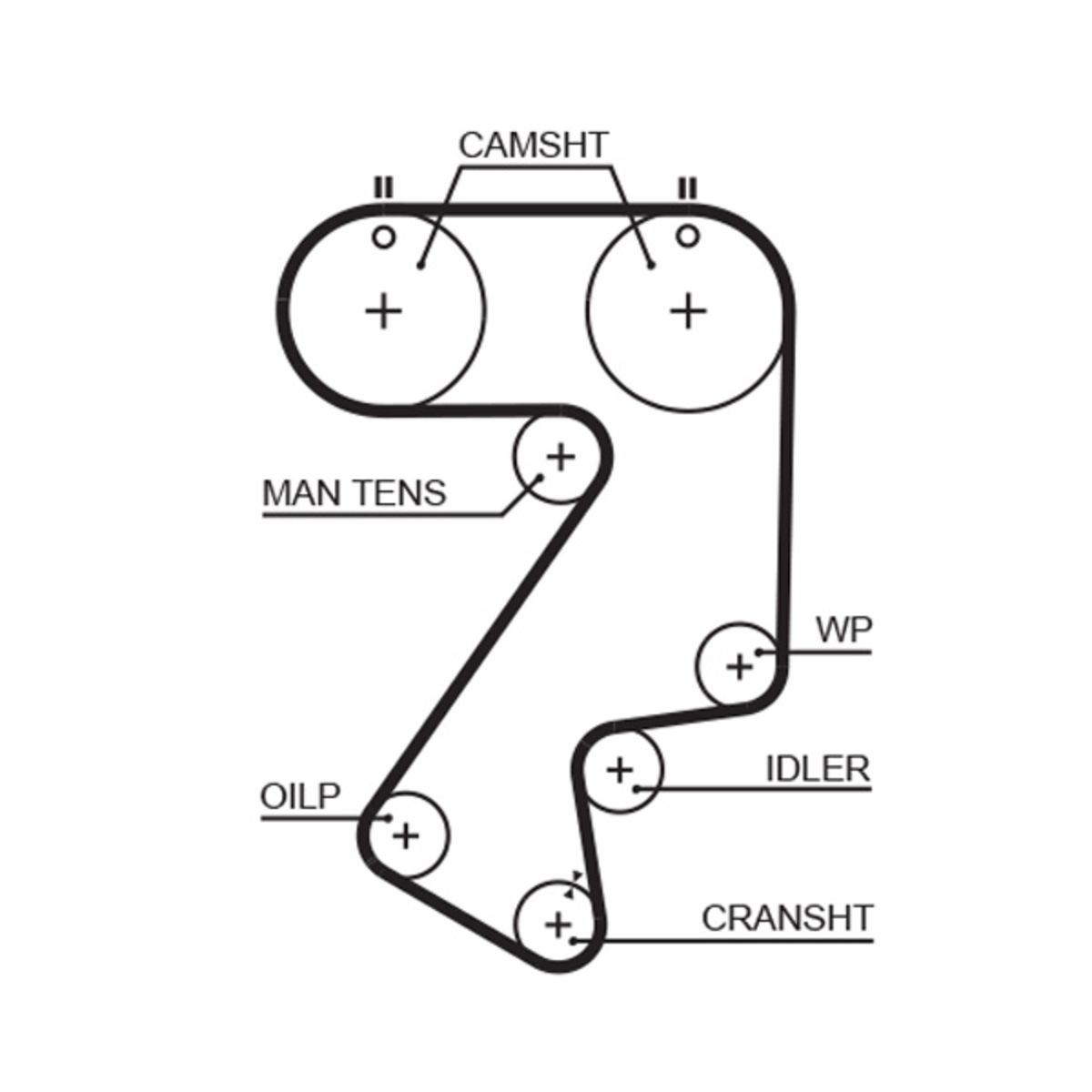 Hammashihnat GATES 5404XS