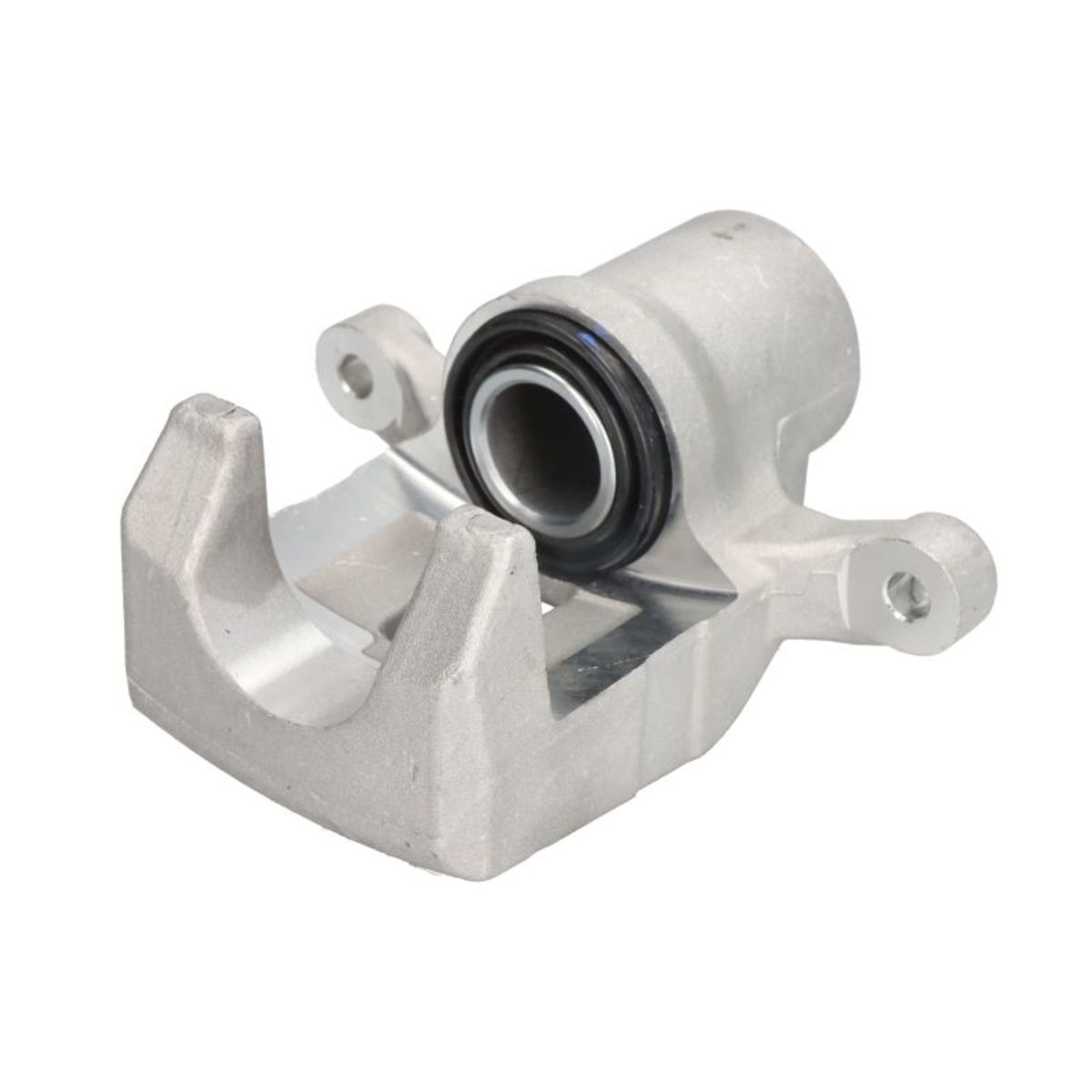 Jarrusatula BUDWEG CALIPER 344494