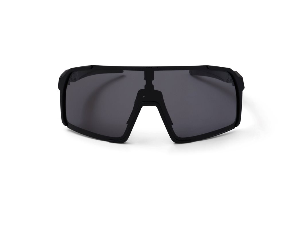 Alpe Eyewear Stelvio Polarized
