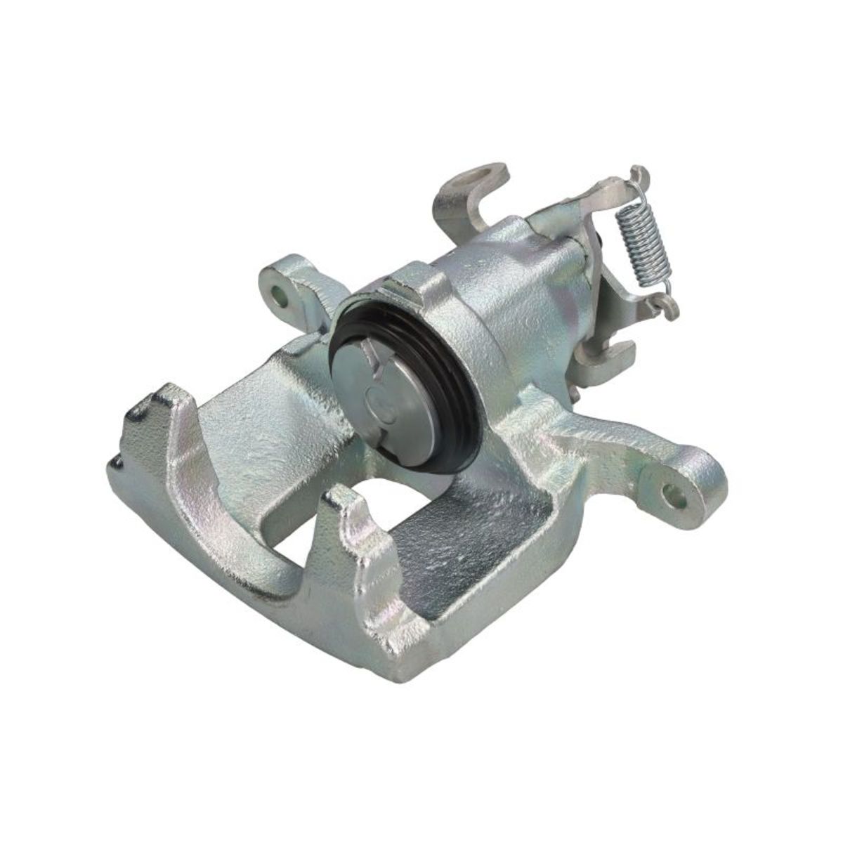 Jarrusatula BUDWEG CALIPER 345163
