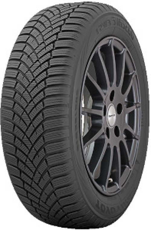 Toyo Observe EWS1 ( 205/55 R17 95V )