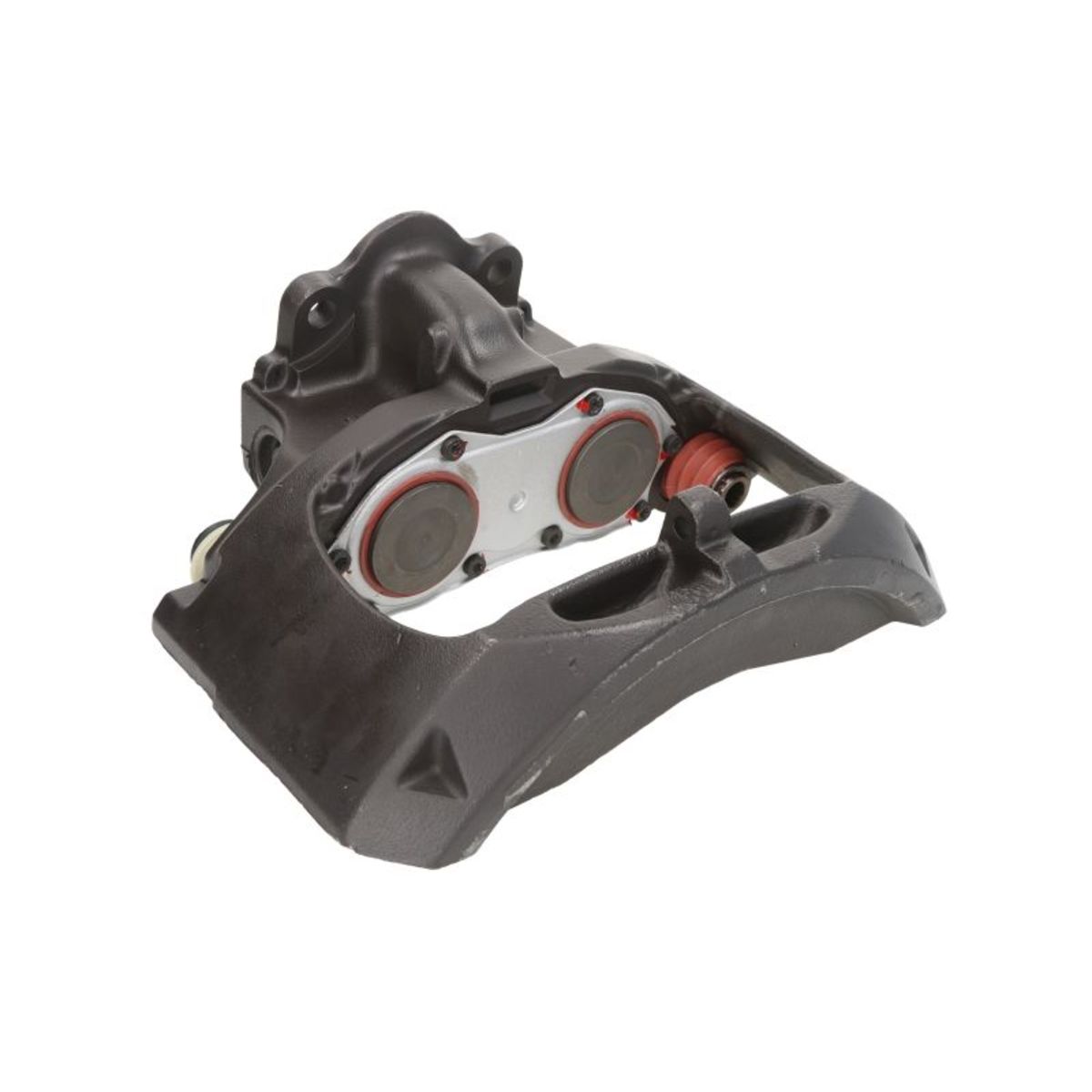 Jarrusatula SBP TEQ-MA.006