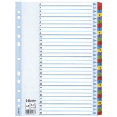 ESSELTE Kartonkirekisteri Esselte Mylar A4, 1-31 100164 Vastaa: N/A