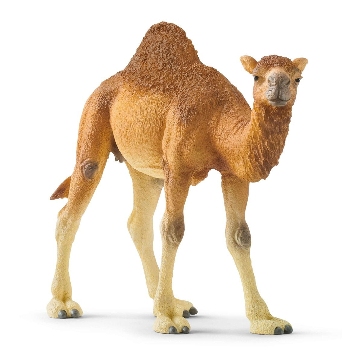 Schleich Dromedaari