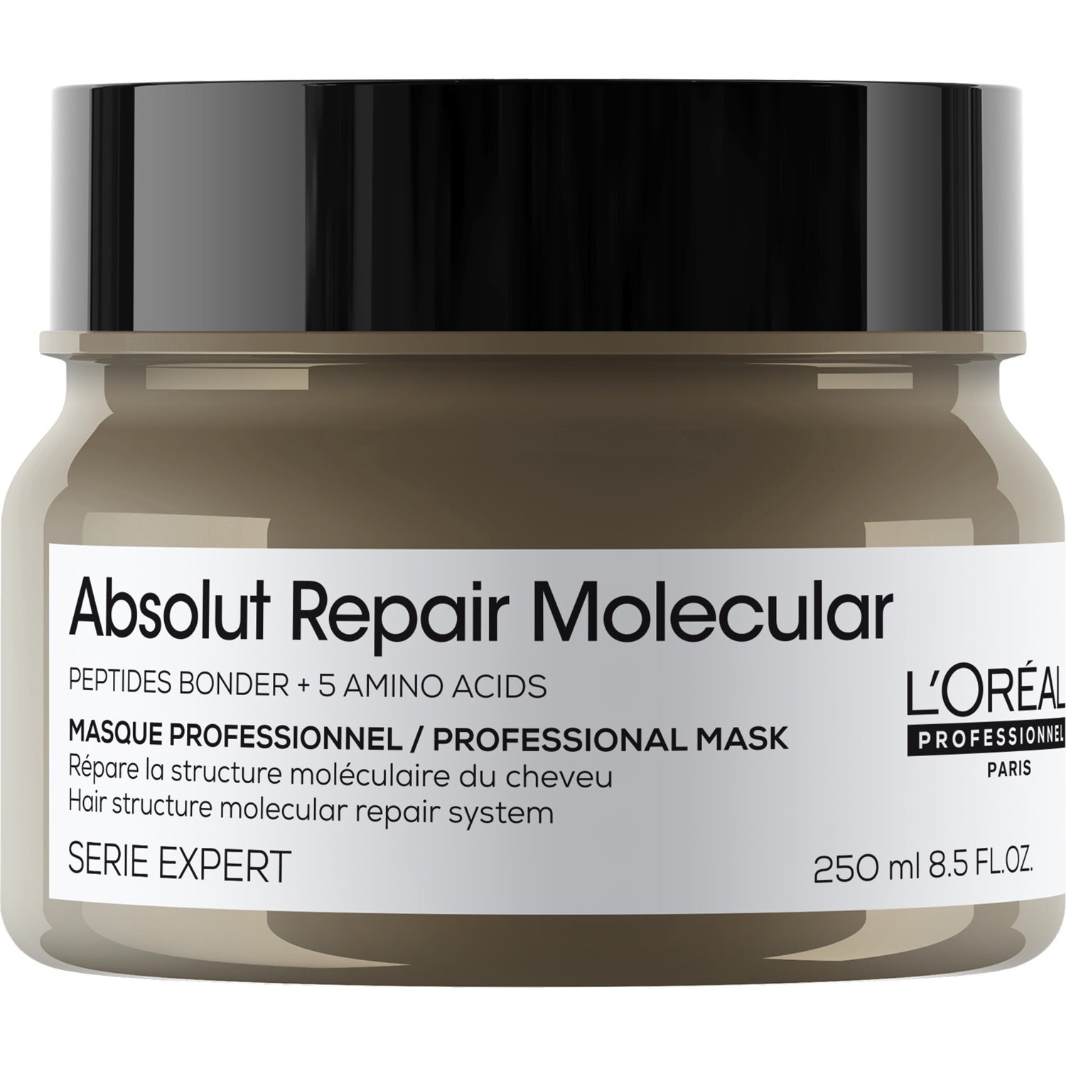 Loreal Absolut Repair Molecular Mask 250 ml