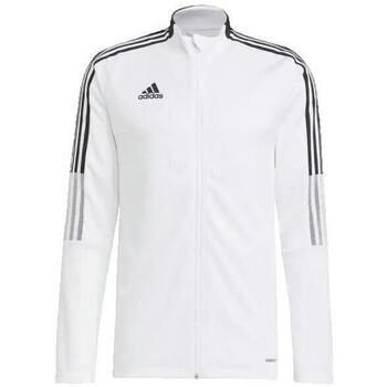ADIDAS PERFORMANCE Toiminnallinen paita 'Team Base' neonvihreä / valkoinen