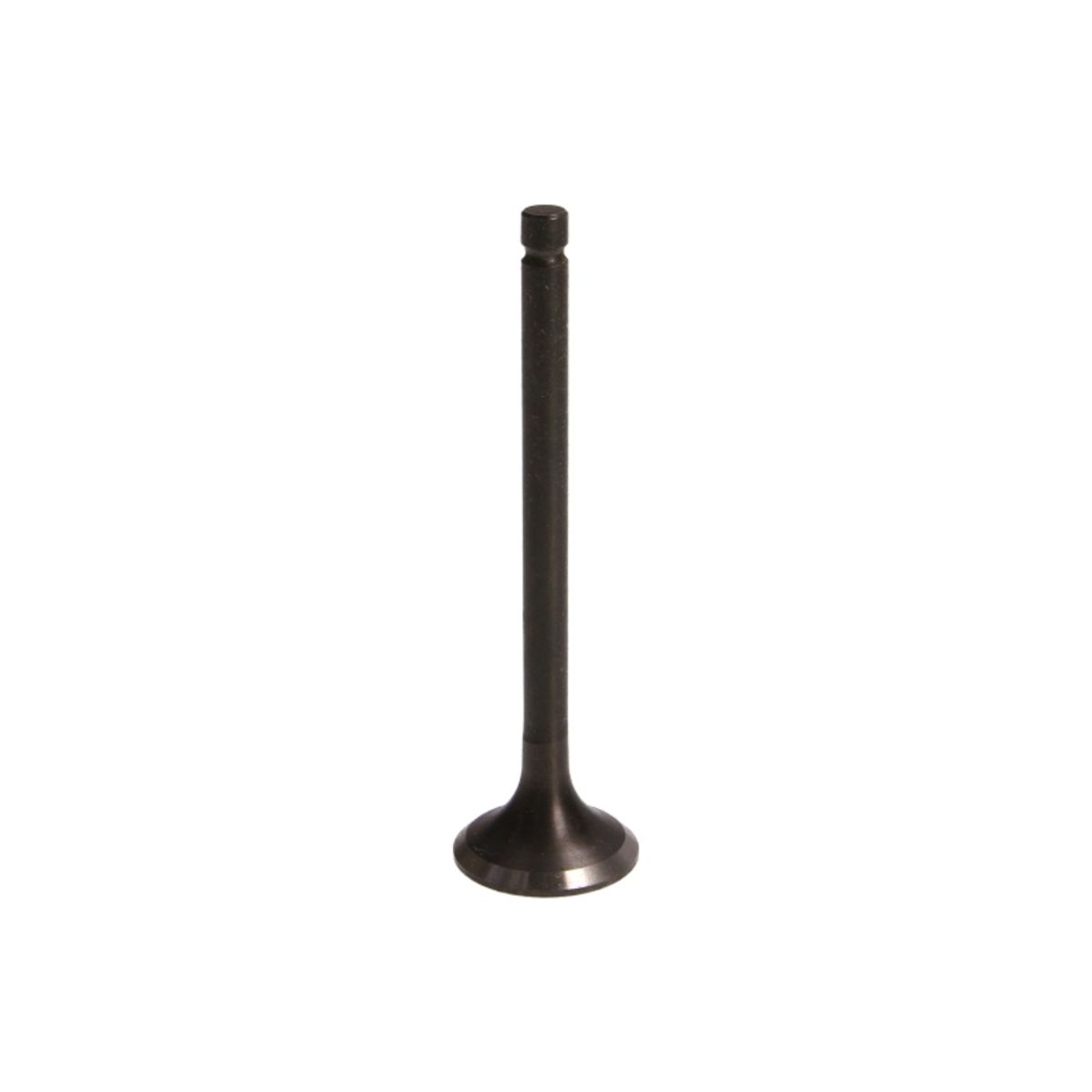 Imuventtiili FRECCIA R6074/SNT