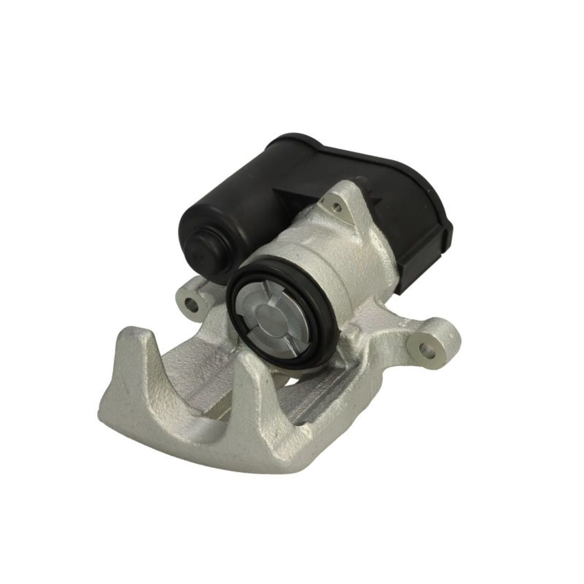 Jarrusatula BUDWEG CALIPER 344270