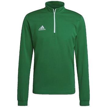 ADIDAS PERFORMANCE Urheilullinen collegepaita 'Entrada 22'  vihreä / valkoinen