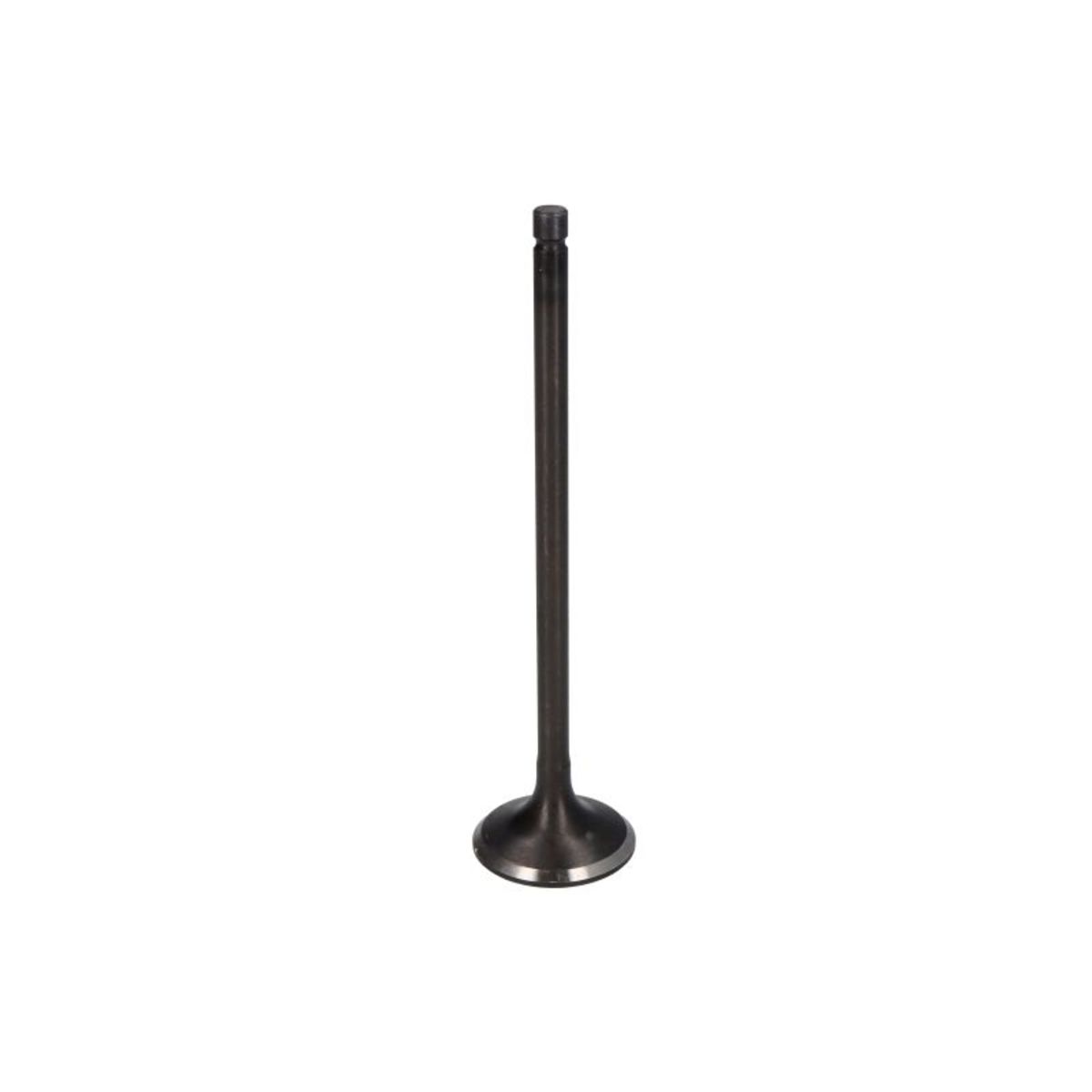 Imuventtiili FRECCIA R4900/SNT
